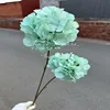 2-headed hydrangea