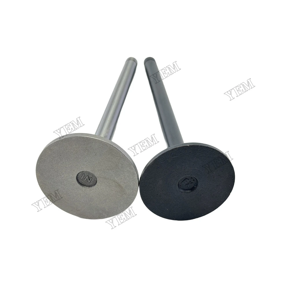 Intake and Exhaust Valve Fit for Hino EK100 Engine 3