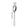 Silver Dinner Spoon