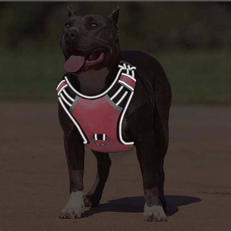 Big dog harness 