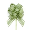 Succo di lime