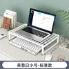 Small size of scallion white - standard model