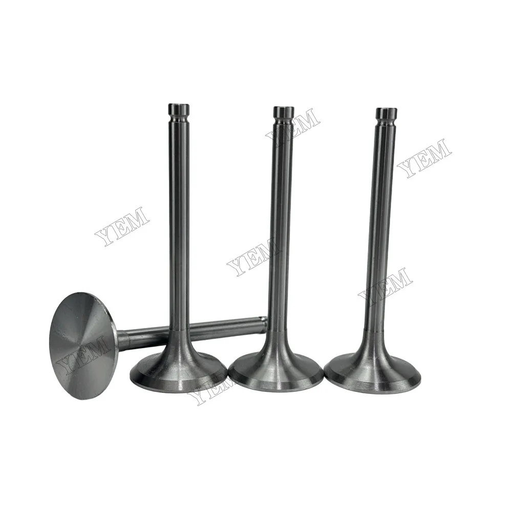 Intake Valve Fit for New Holland SNH4105 Engine 3