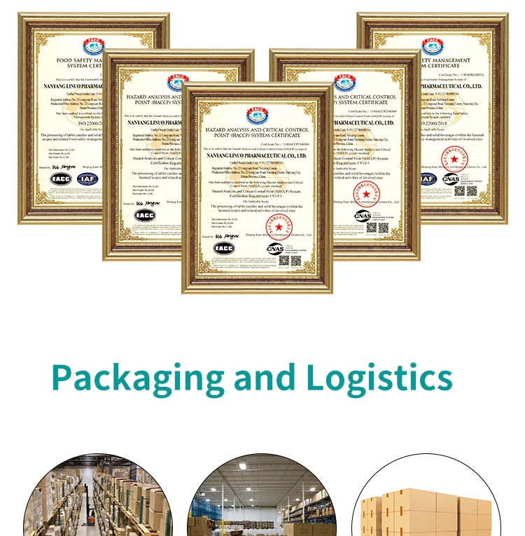 Private Brand Natural Moringa Leaf Instant Coffee Powder Sweet Chocolate Flavor Box Packaging Fat Burning and Detox Effects