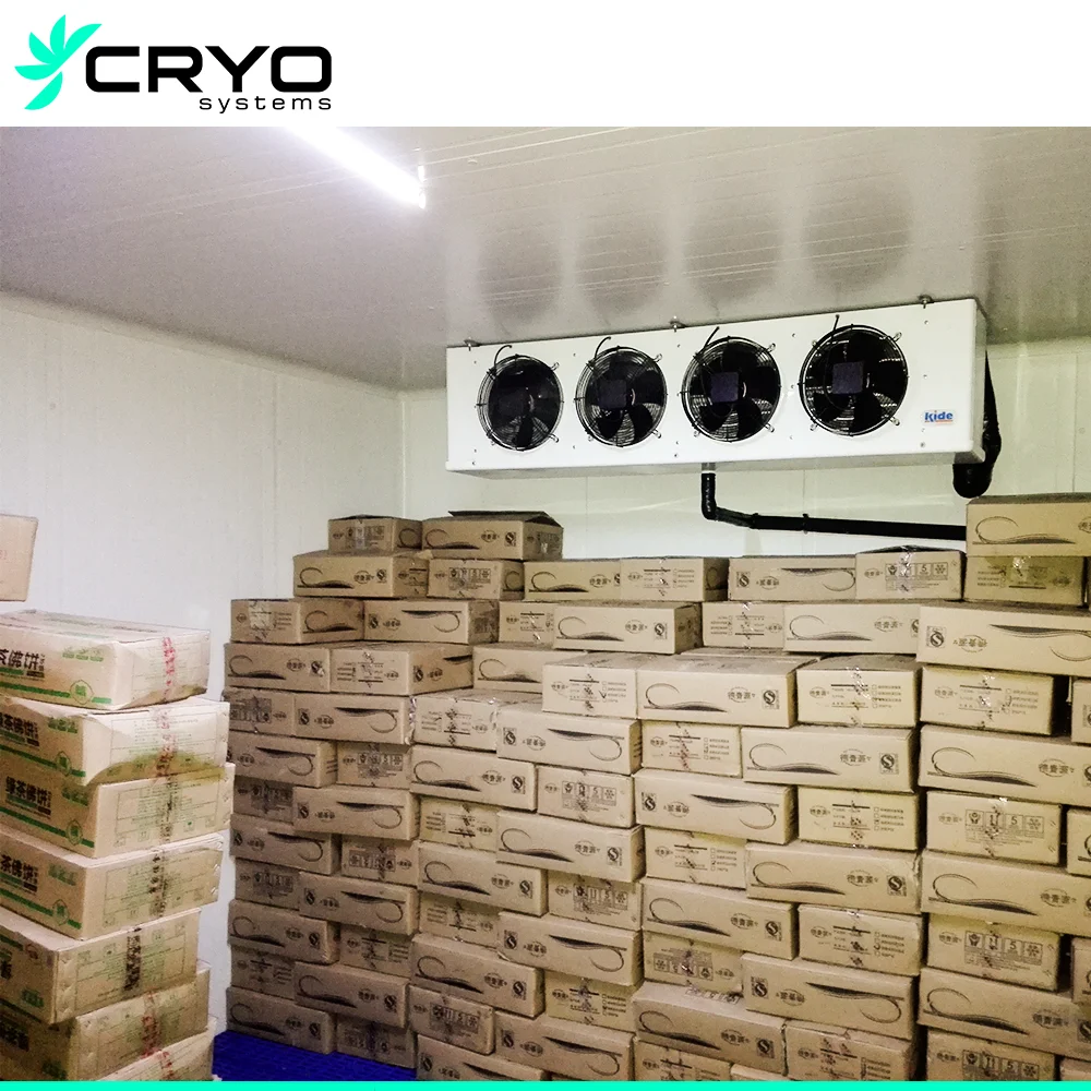 Commercial Cold Room of 40 M3 for Massive Cold Storage Requirements Cold Room