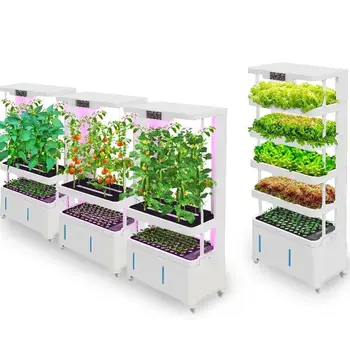 Vertical Hydroponic Growing System Hydroponics System