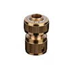 Brass