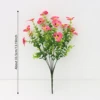 GY003-2 rosa
