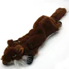 Volpe del caffè