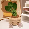 Cactus-30cm