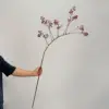 128cm - Ramitas rojas