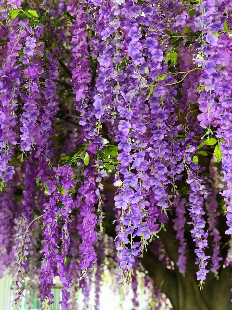 Hanging Wisteria Tree Arch Artificial Bonsai Tree - Buy Wisteria Tree ...