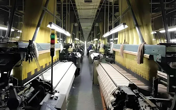 Shaoxing Dmis Clothing Co., Ltd.