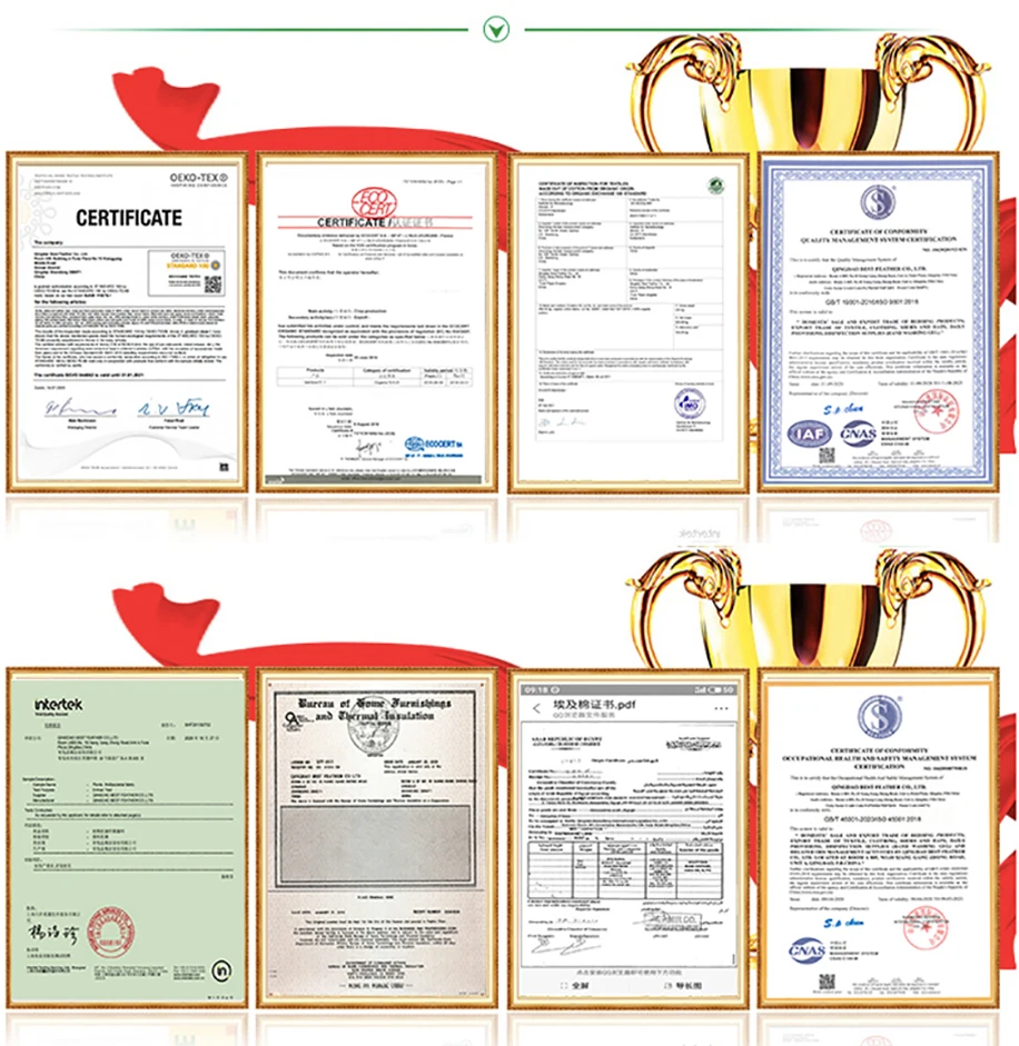 Certificate 3.jpg