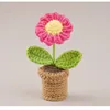 Deep pink Daisy
