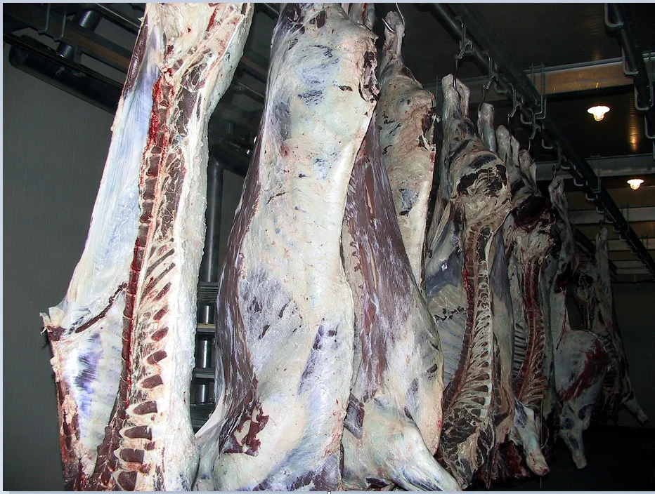 Halal cattle and sheep slaughtering box cattle and sheep slaughterhouse equipment