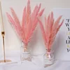 Piccolo rosa (30pcs/bundle)