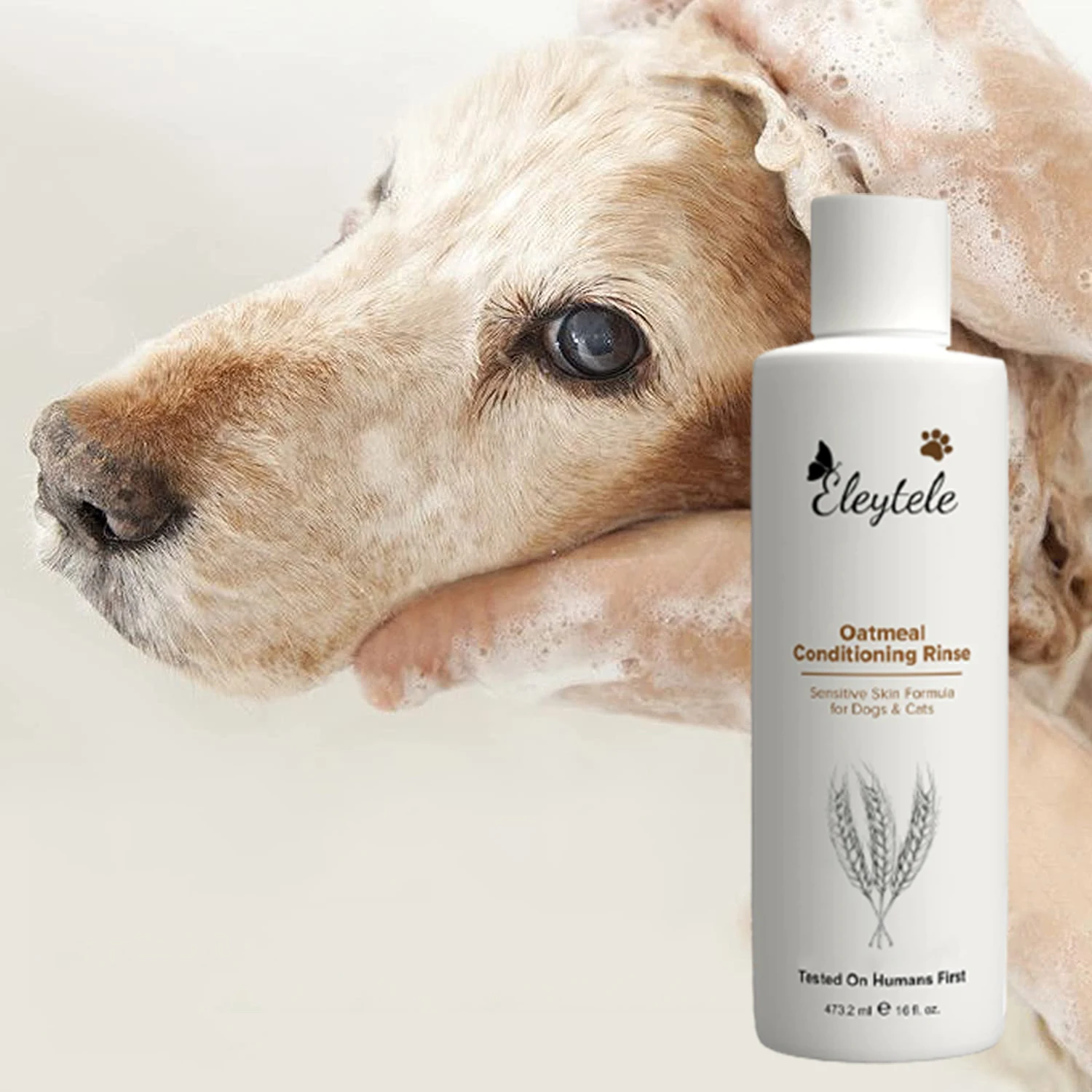 Private Label Organic Vegan Pet Shampoo Dog Grooming Care Dispensing Pet Shower Animals Dry Shampoo