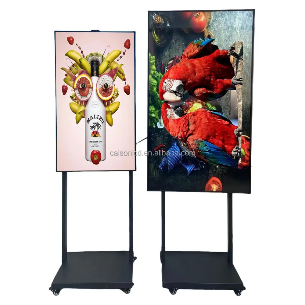 digital stand  Advertising Digital Signage  Shop 55 Inch 3000 Nit High Brightness Facing Window Lcd Screen Display manufacture