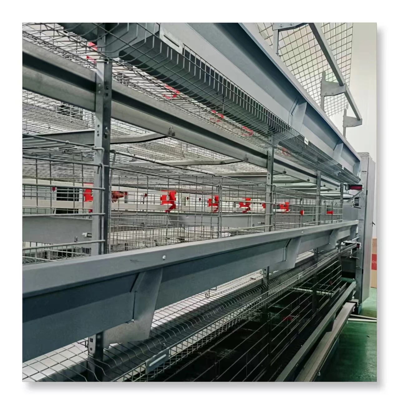 Modern Design Automatic Poultry Farming House H Type Battery Cage Chicken Farm for Egg Layer