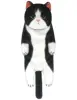 Round Face Black & White Cat