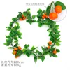 Pumpkin vines (small fruits)