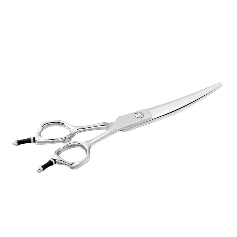 Professional Hair Scissors 5 Inch with Extremely Sharp Blades, 440C Steel  Hair Cutting Scissors, Durable, Smooth Motion & Fine Cut, Barber Scissors