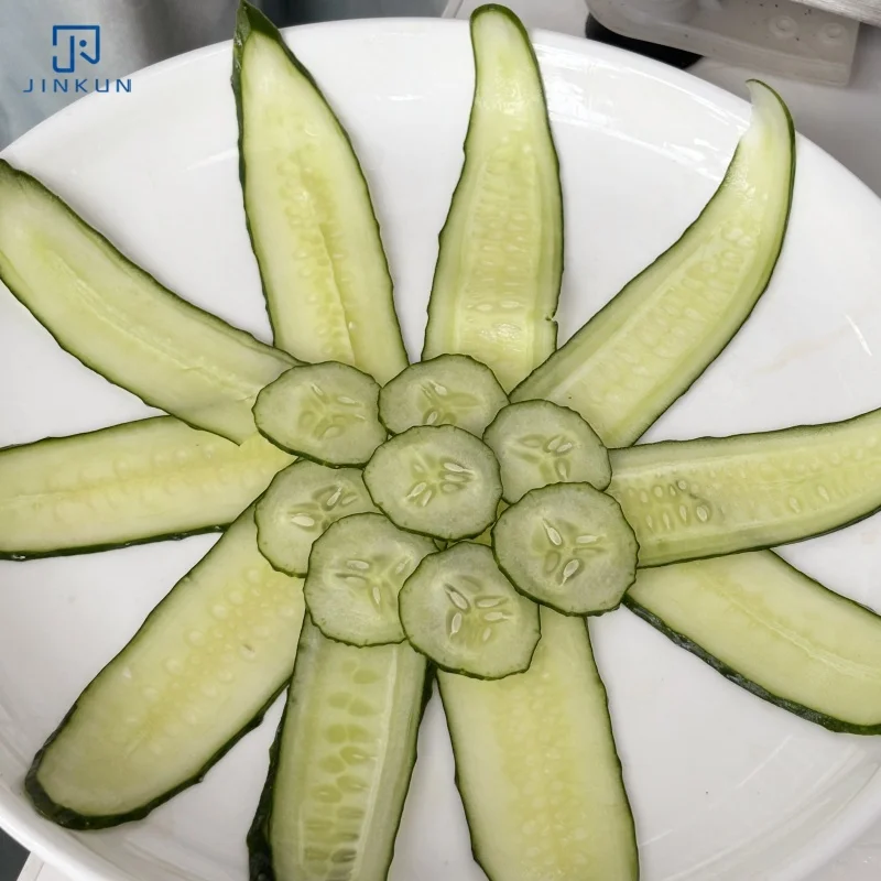 180W/220V/50Hz Carbon Steel Semi-Automatic Slicer JK-220A Adjustable Slicing Thickness New Motor for Beef Mutton Rolls Cutting factory