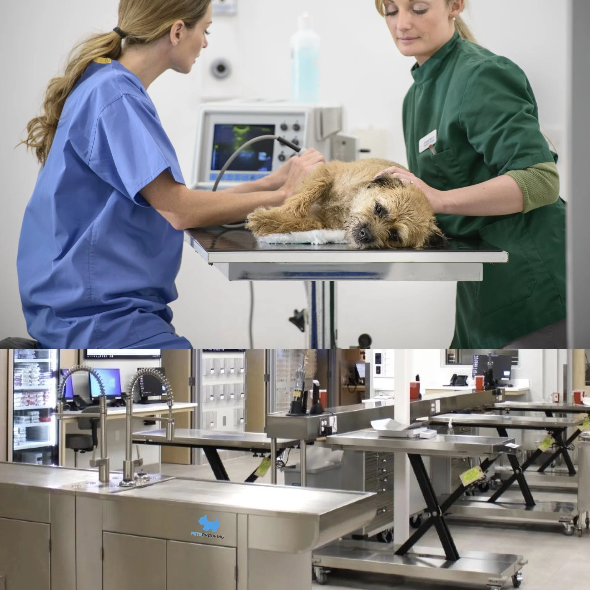 Veterinary Practice Westlake Veterinary Emergency Vet Westlake