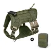 Conjunto de cofre verde