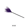 Purple broom