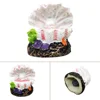 Shell-alrededor de 6,5*6*6,5 cm
