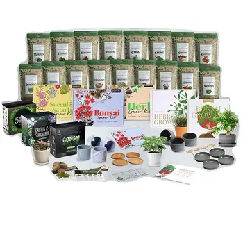 Christmas Gift Idea Ceramic Edition germinate Trees Premium Grow Tree Starter Kit Bonsai