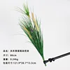 Windmill grass cat's tail mixed bundle