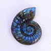 Labradorite snail