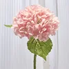 สีชมพู