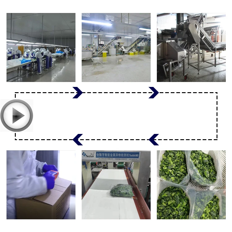 Factory Price IQF Frozen Spinach Chopped Vegetable