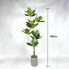 Arbre à caoutchouc Emperor, 180 cm (livré avec base noire)