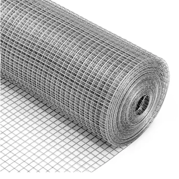 Galvanized Bird Cage Wire Mesh and Welded Wire Mesh Stainless Steel Screen Building Materials Steel Wire with High Price