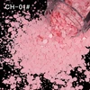 CH-01
