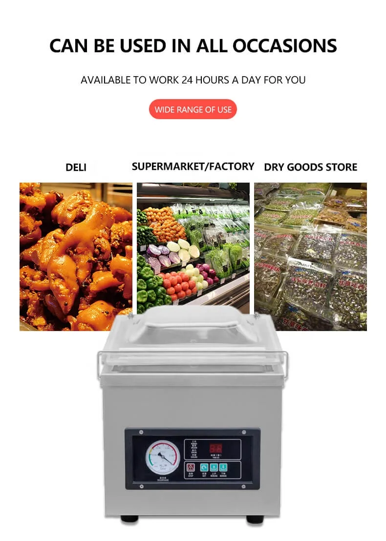 Singlecell Food Vaccum Packaging Machine / Vaccum Packager / China