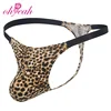 Leopardo