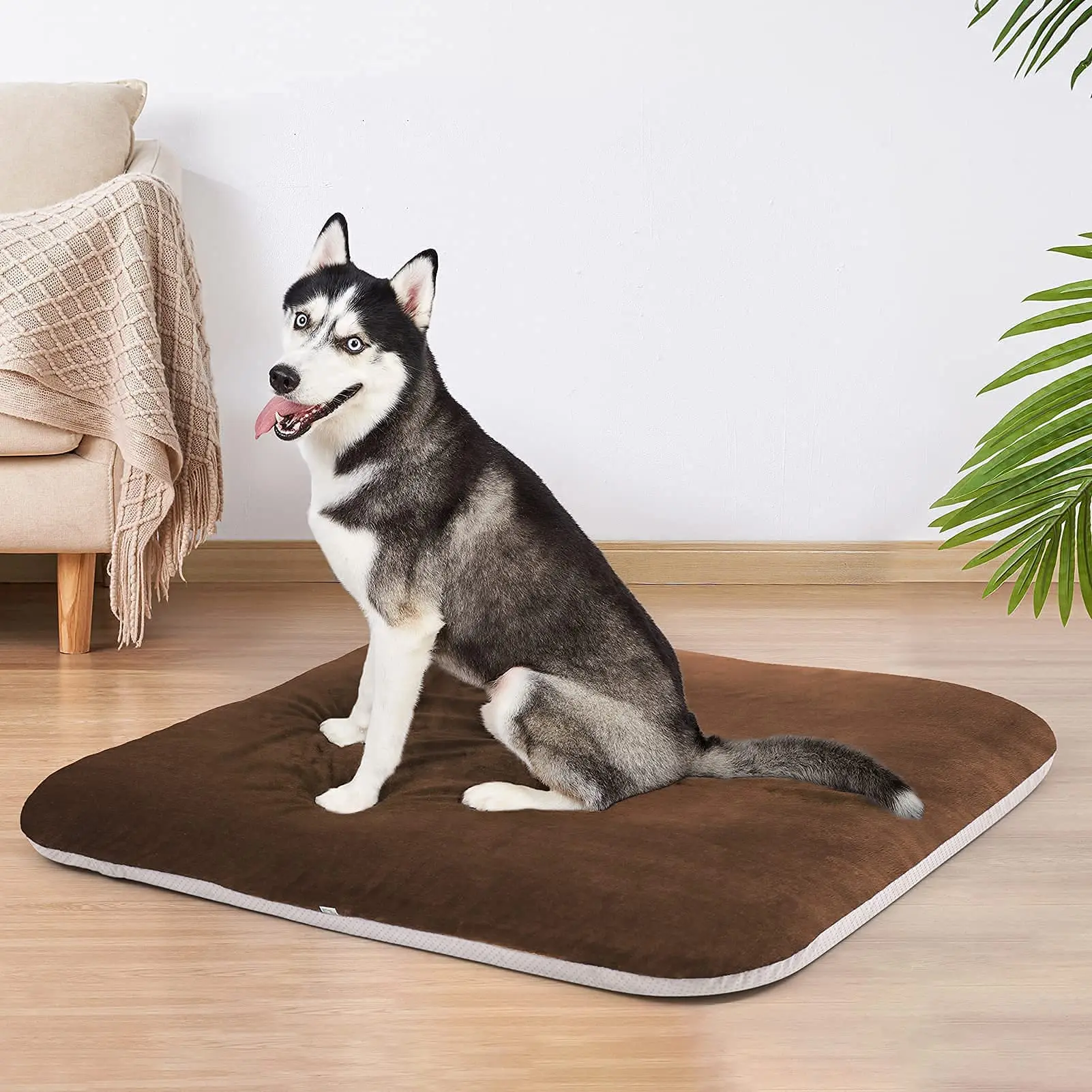 Magic Dog Super Soft Extra Large Dog Bed 47 Inches Jumbo Orthopedic Foam Pet Beds with Anti Slip Bottom