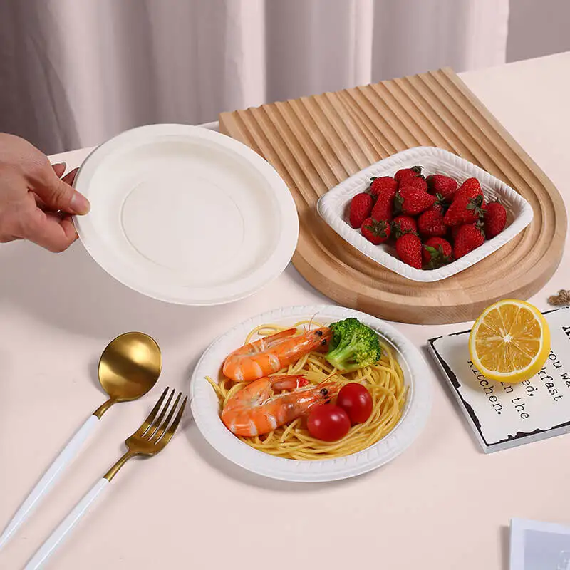 ecoware plates eco ware dishes bagasse plate packaging