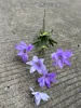 5#-7 Fork Swallow Flower-Pale Purple