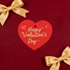 100pcs-5x4.5cm-SL-260103