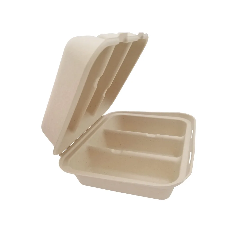Natural Disposable Packing - Sugarcane Pulp Bagasse Mexico Taco Box