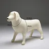 White JM Golden Retriever