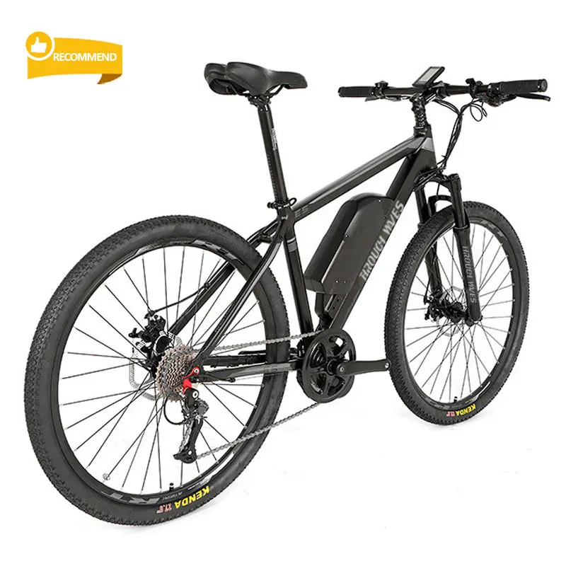 E Bike Pas 36v 48v Battery Pedal Assist 