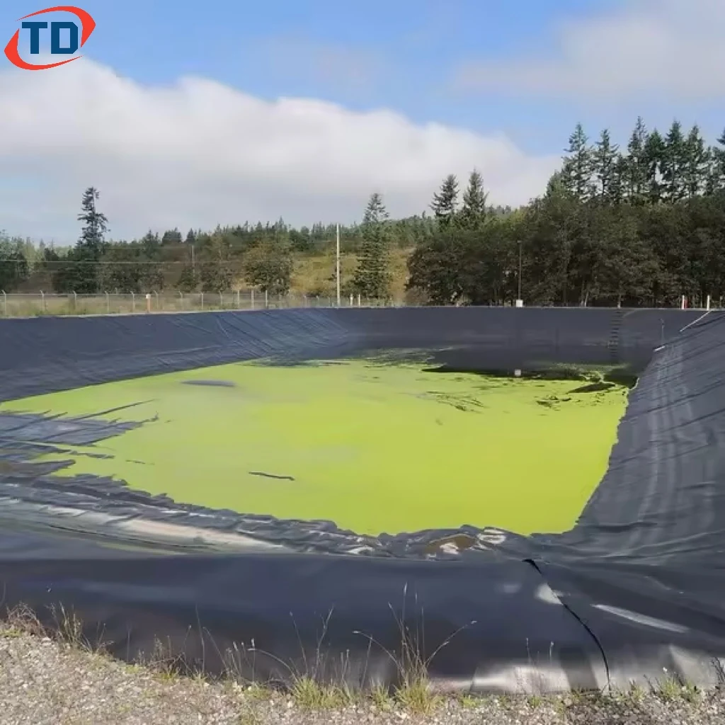 Spirulina Farming Ponds HDPE Geomembrane for Dam Liner 1mm 1.5mm 2mm PE Sheet for Fish Farms Geomembrana Pond Liner 45mil